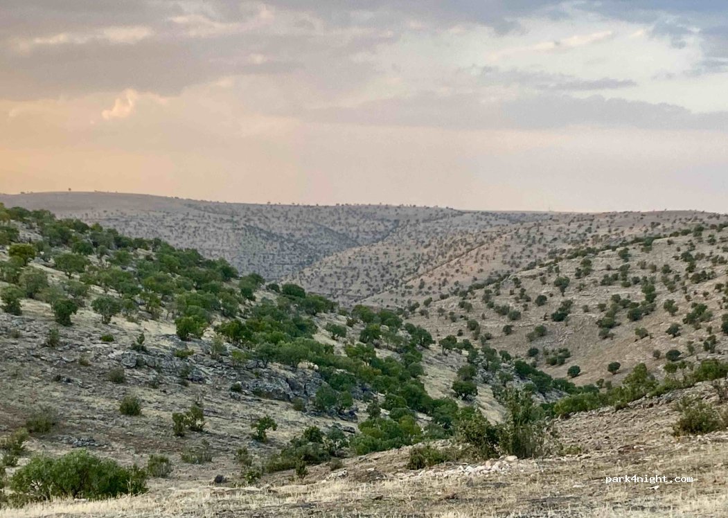 (47700) Mazıdağı - — foto 2