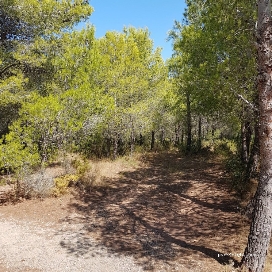 (43300) Mont-roig del Camp - 103 Partida Rocas — foto