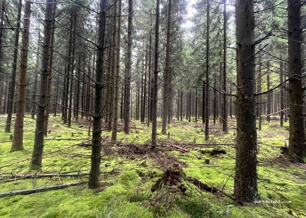 (268 76) Svalövs kommun - Backaslättsvägen — foto