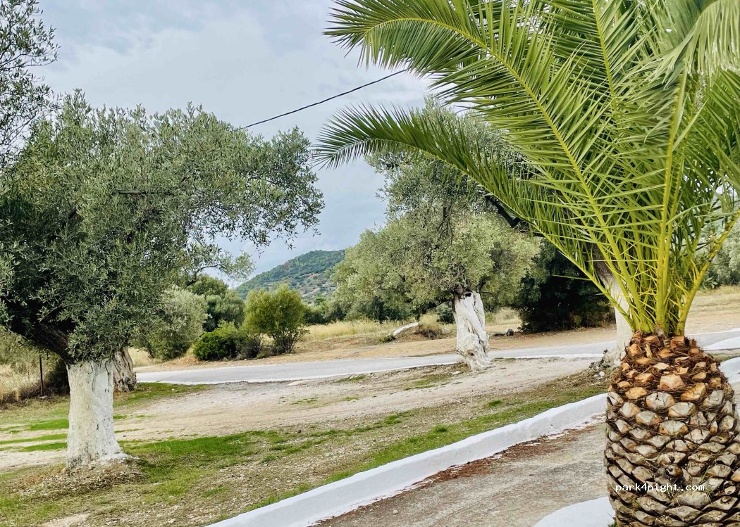 (19004) Spata Loutsa - Unnamed Road — foto 2