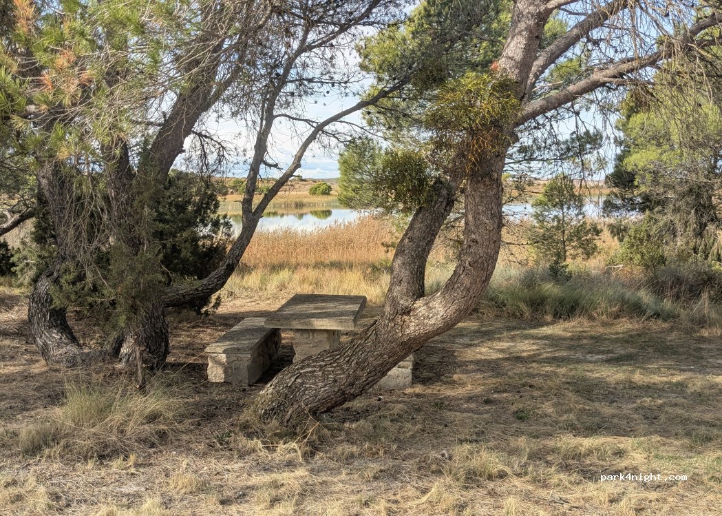 (31383) Murillo el Cuende - — foto 2