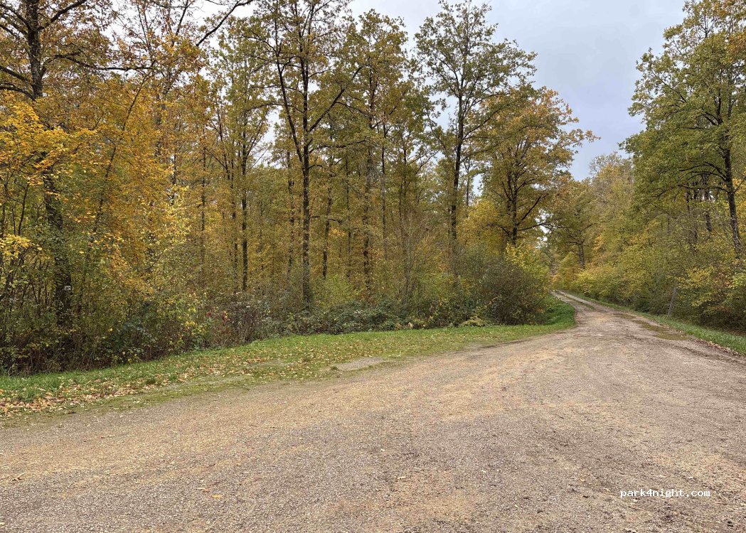(55230) Loison - Unnamed road — foto 2