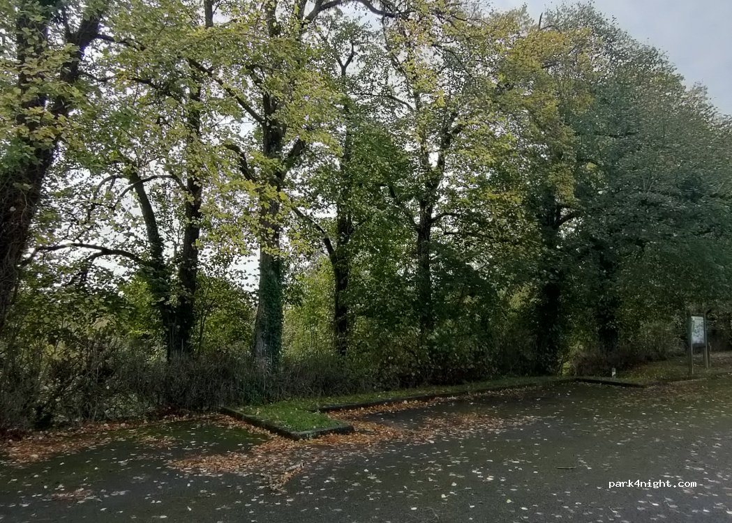 (86340) Roches-Prémarie-Andillé - Allée des Sapins — foto