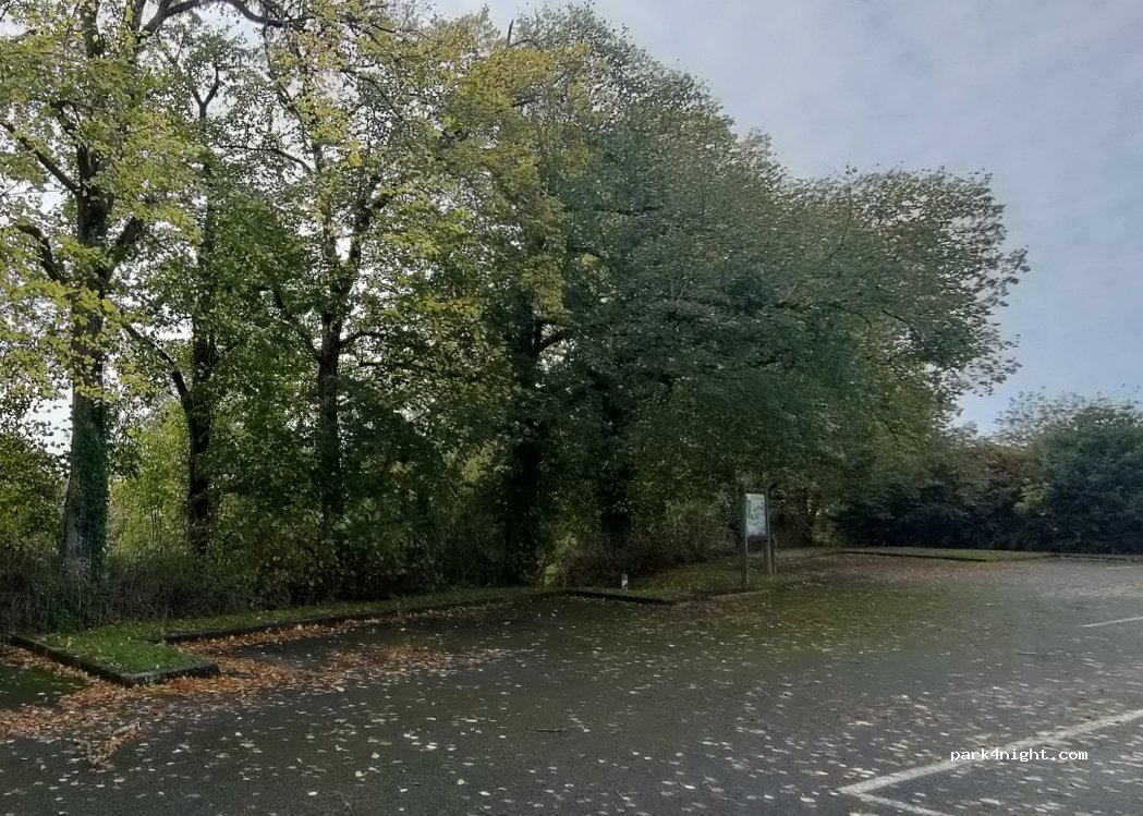 (86340) Roches-Prémarie-Andillé - Allée des Sapins — foto 4