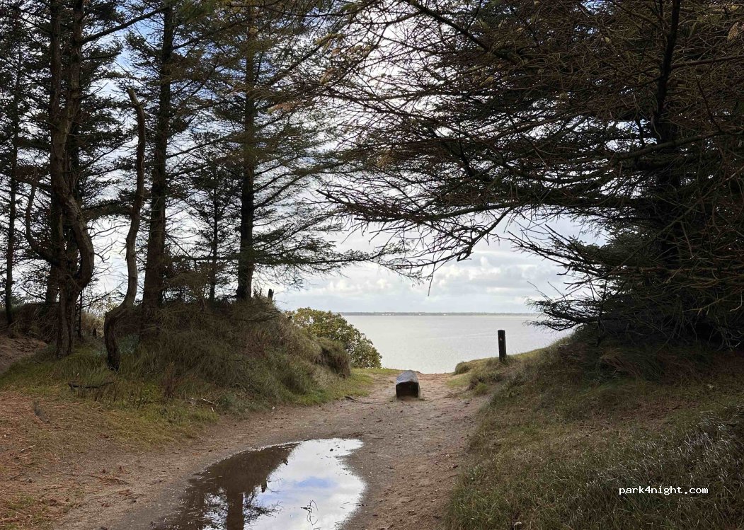 (6710) Esbjerg - Gulebjergvej — foto 2
