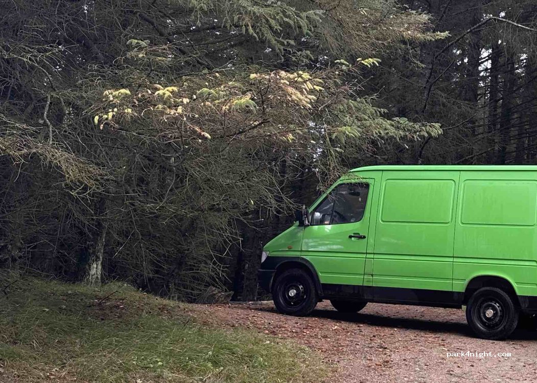 (6710) Esbjerg - Gulebjergvej — foto 3