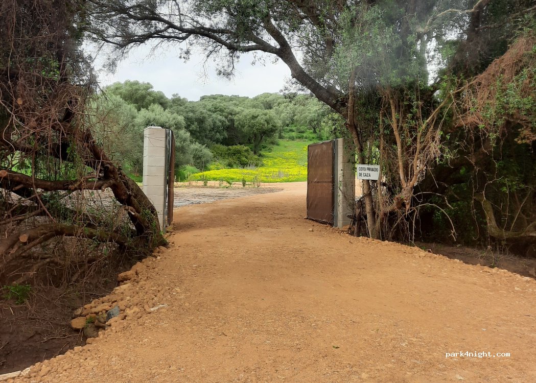Finca Mariposa — foto 4