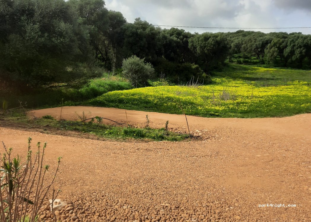 Finca Mariposa — foto 5