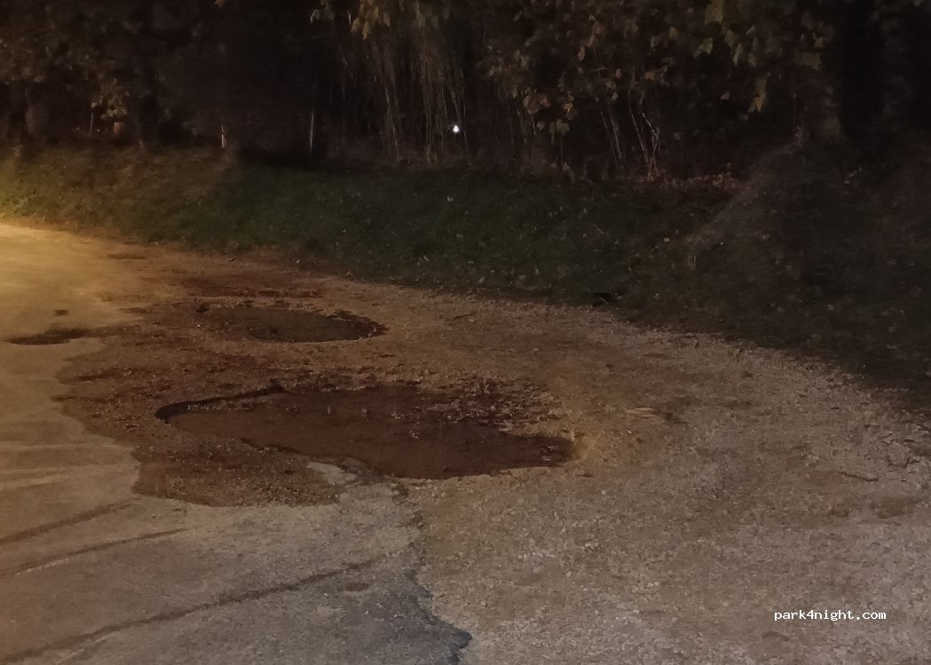 (13200) Arles - Chemin des Minimes — foto