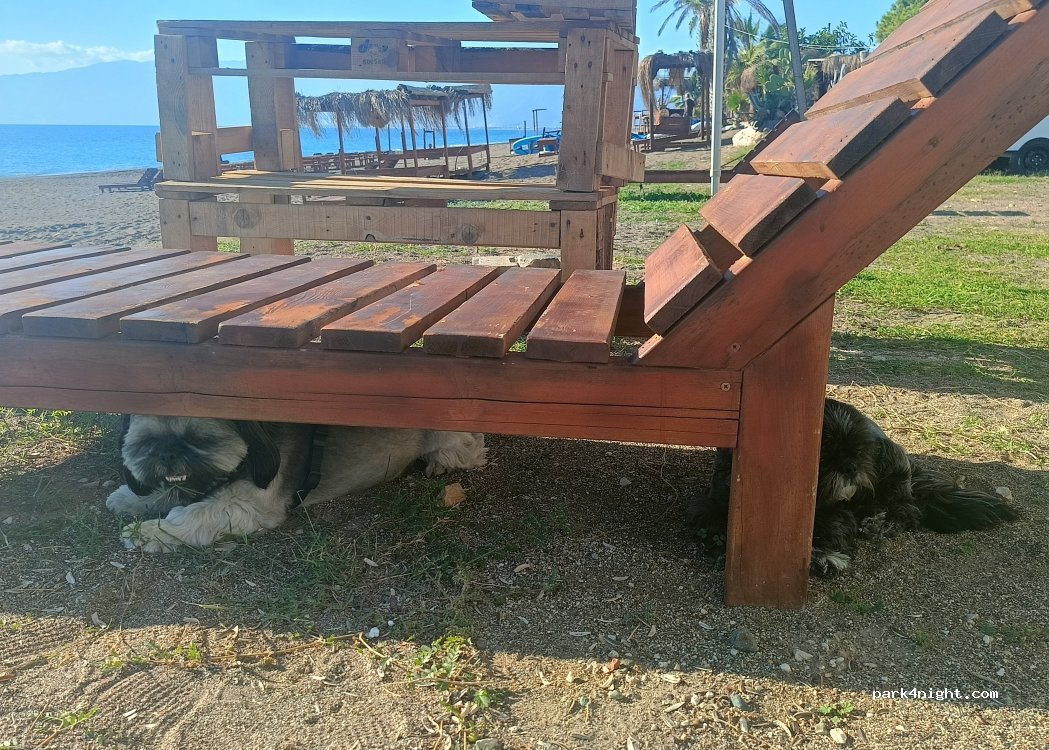 Haci Beach — foto 2