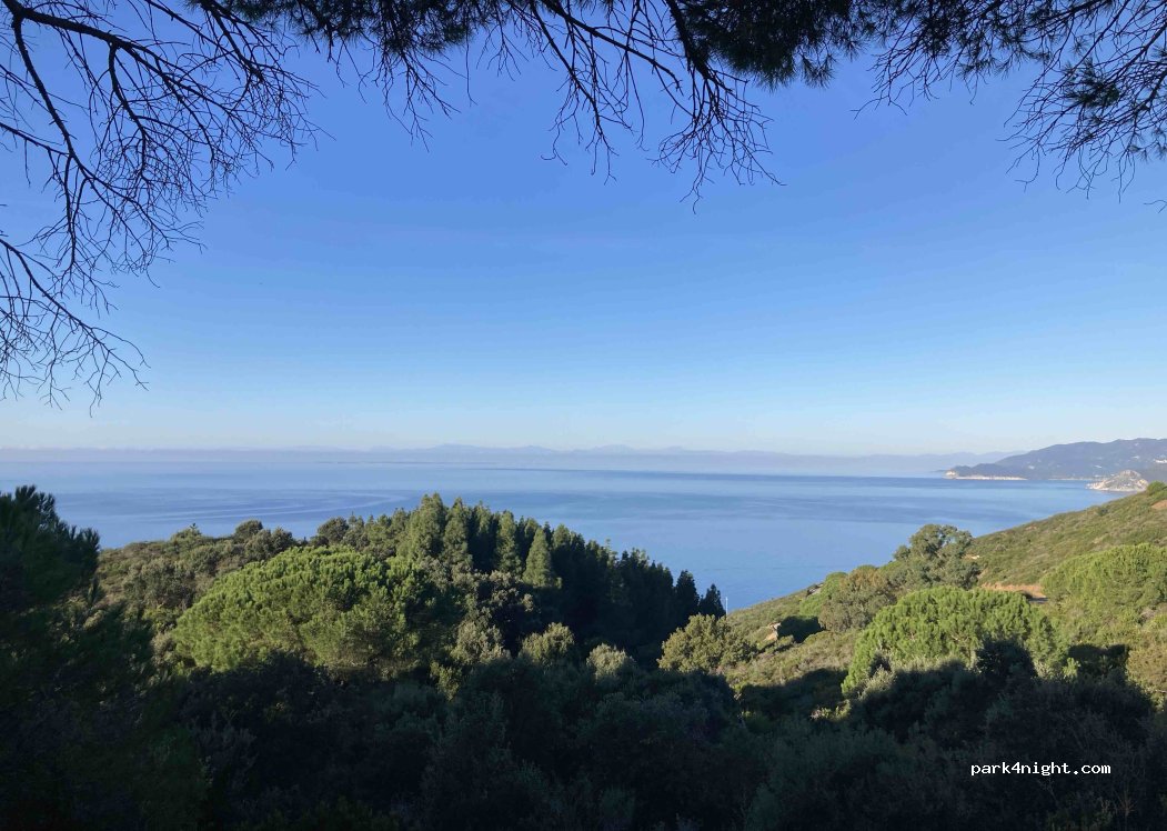 (57036) Capoliveri - — foto