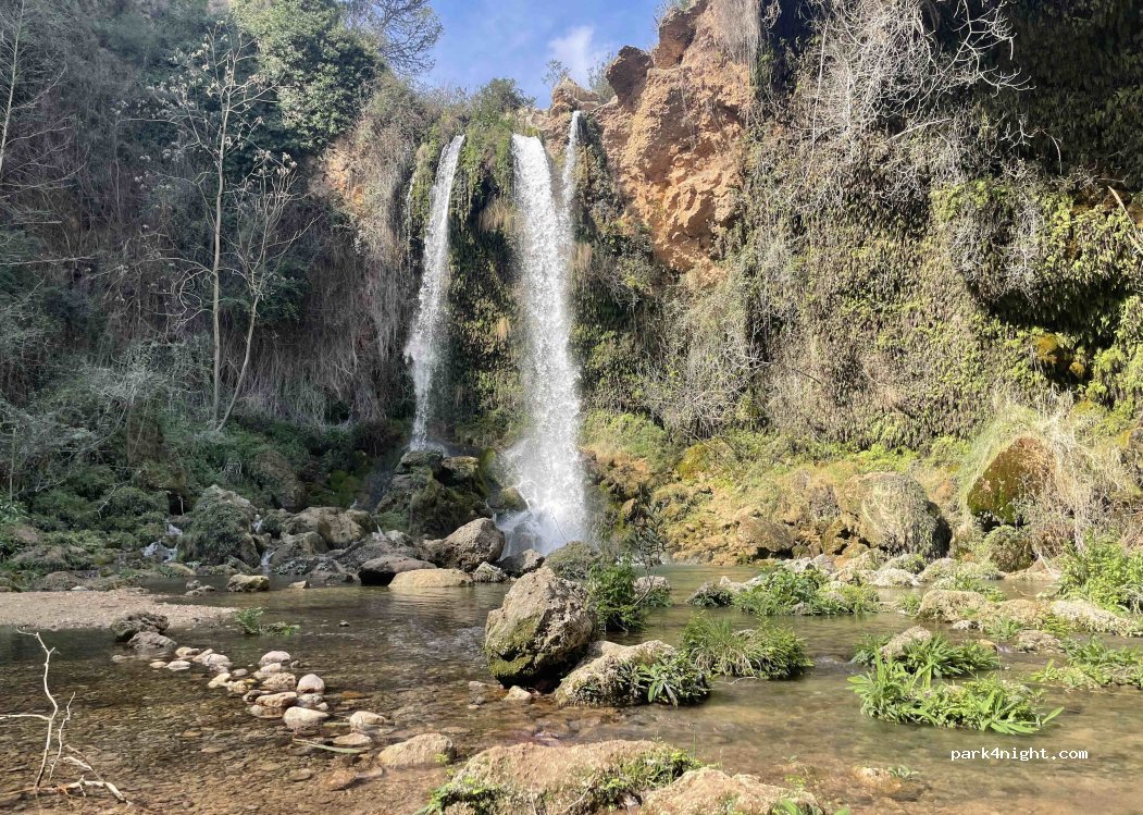 La vida pura — foto 2