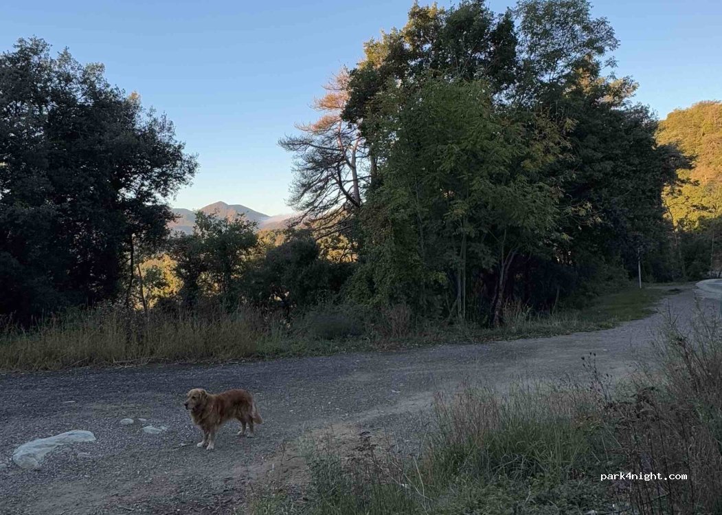 (17864) la Vall de Bianya - Camí de la Baga — foto 2