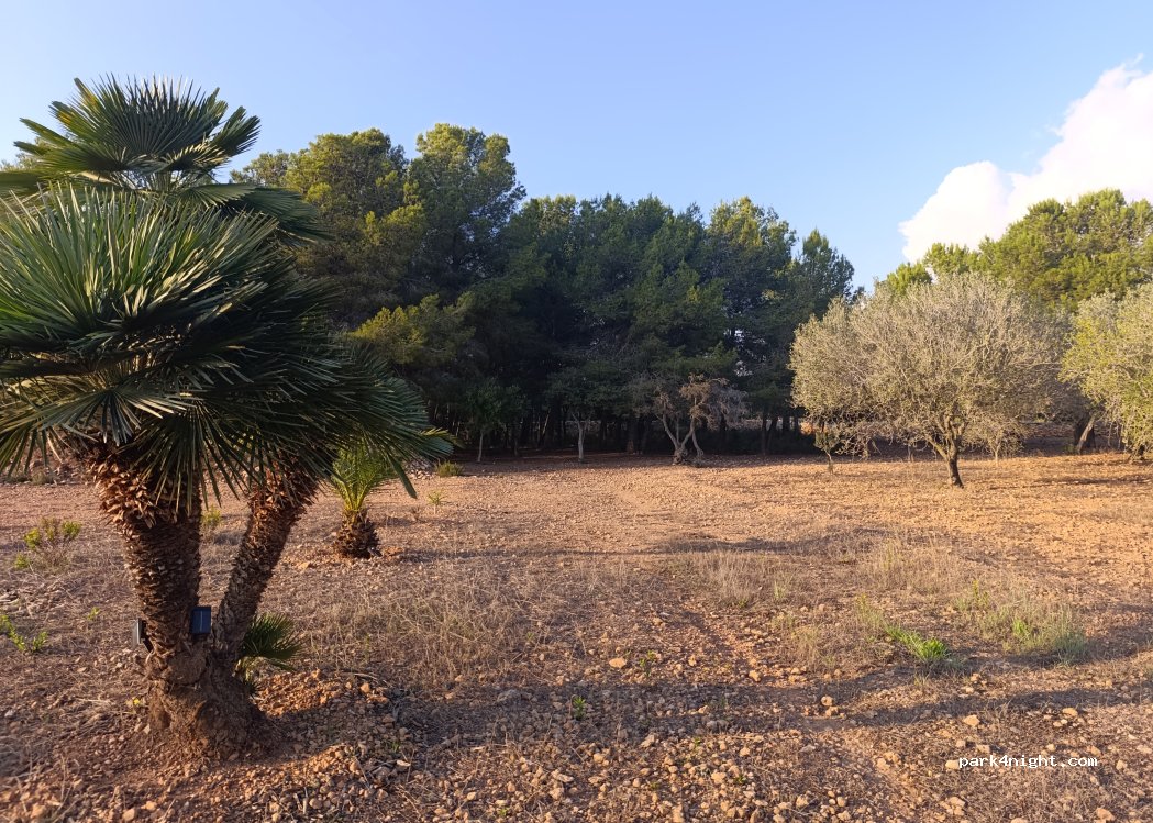 (43812) Rodonyà - S/n — foto 4