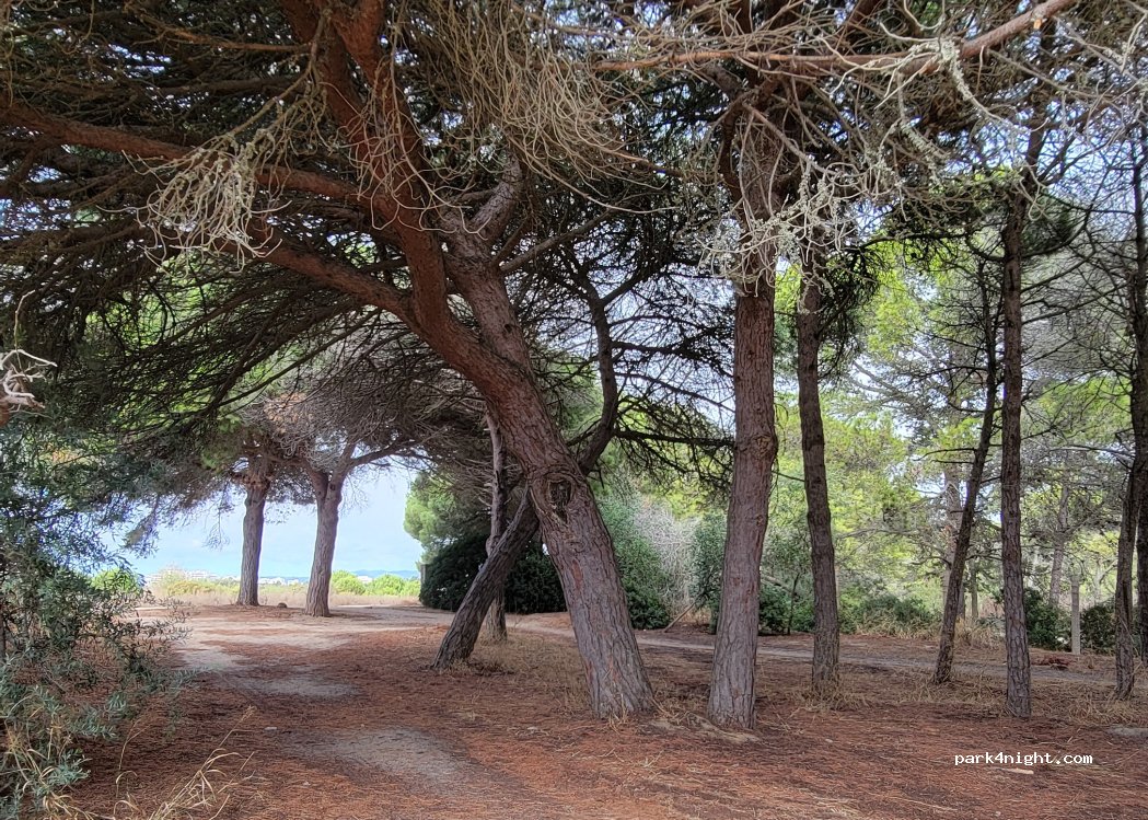 (8500) Alvor - — foto