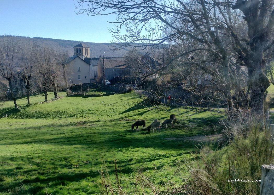 Camping Paredes — foto 3
