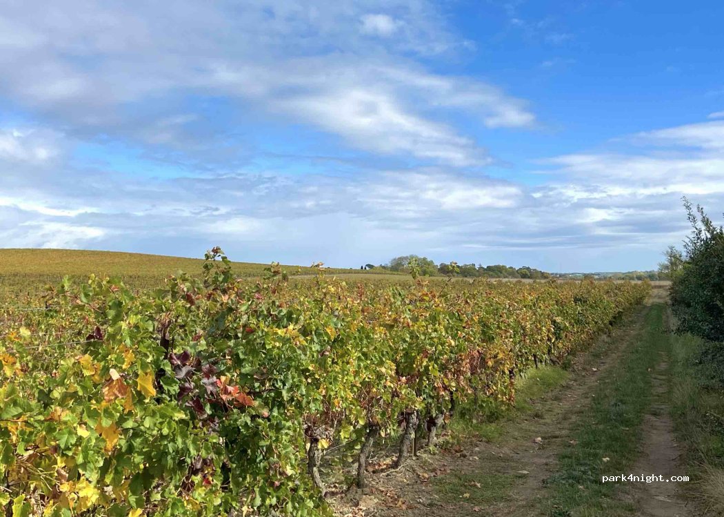 (11610) Pennautier - Chemin de Paret Longue — foto