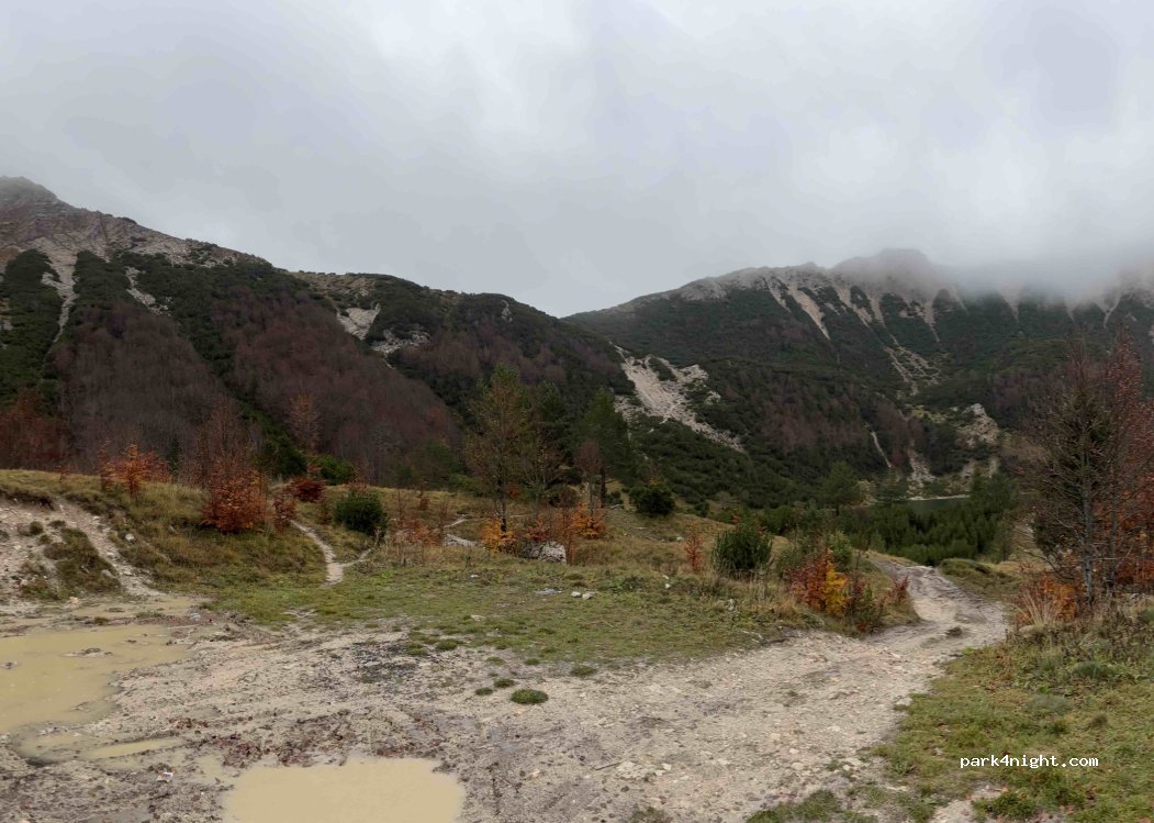 (80274) Preodac - Šumska cesta do Šator jezera — foto