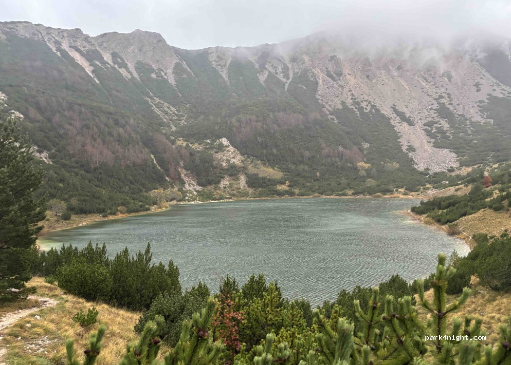 (80274) Preodac - Šumska cesta do Šator jezera — foto 2