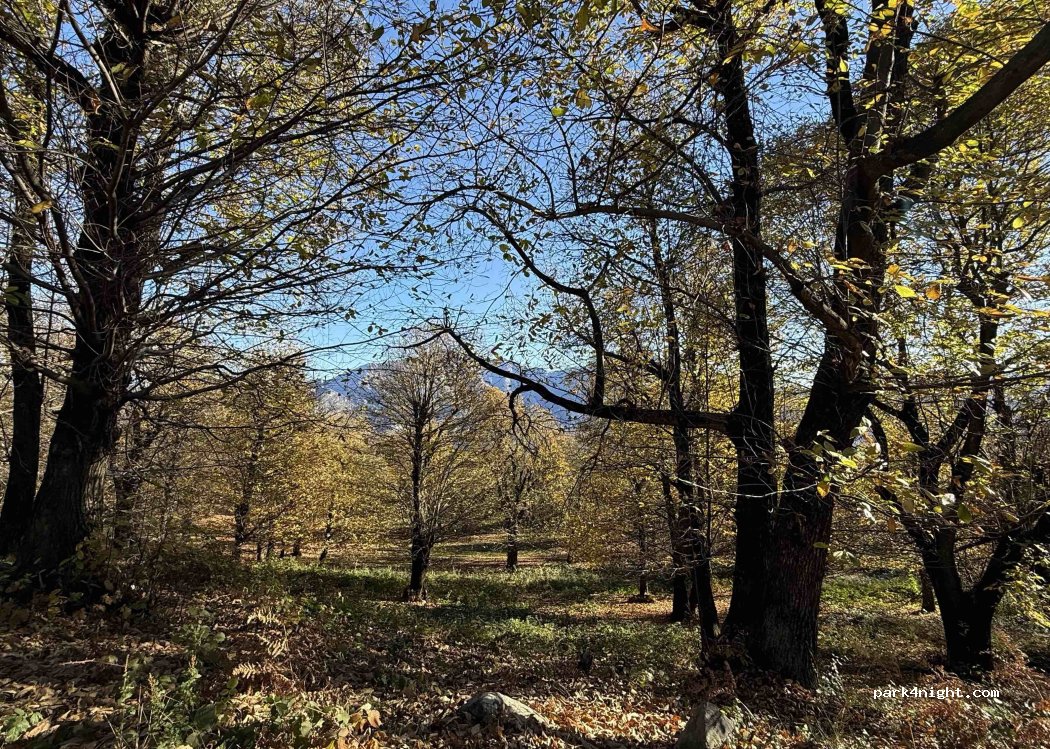 (23865) Barni - Sentiero per Castel de Leves — foto