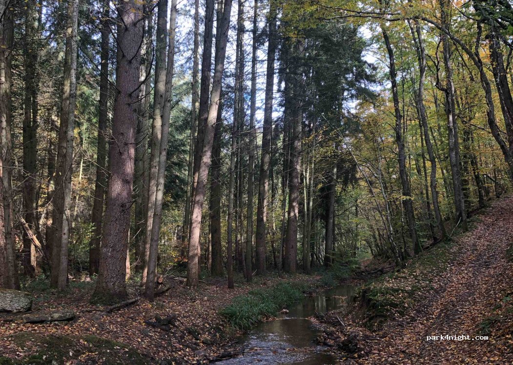 (03330) Bellenaves - Unnamed road — foto