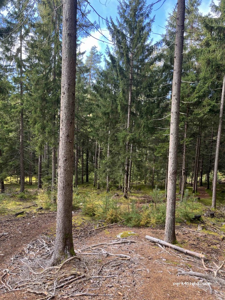 (39030) Bruneck - Brunico - GS/SC34.1 — foto 3