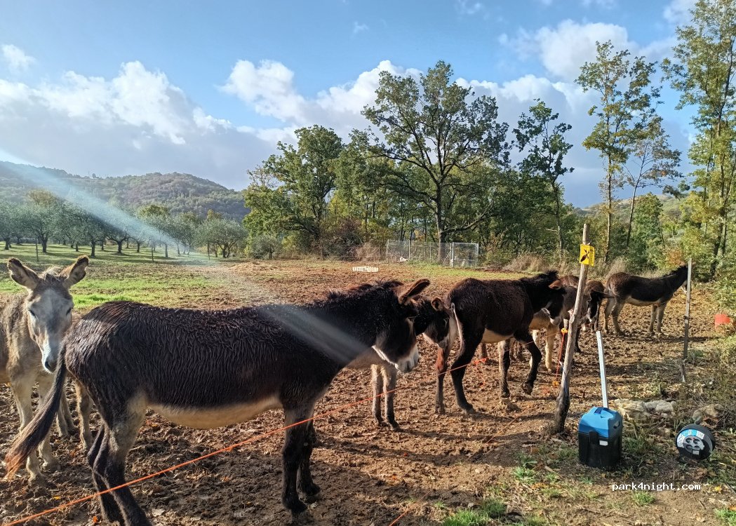 Agriturismo Domus Otium — foto 3