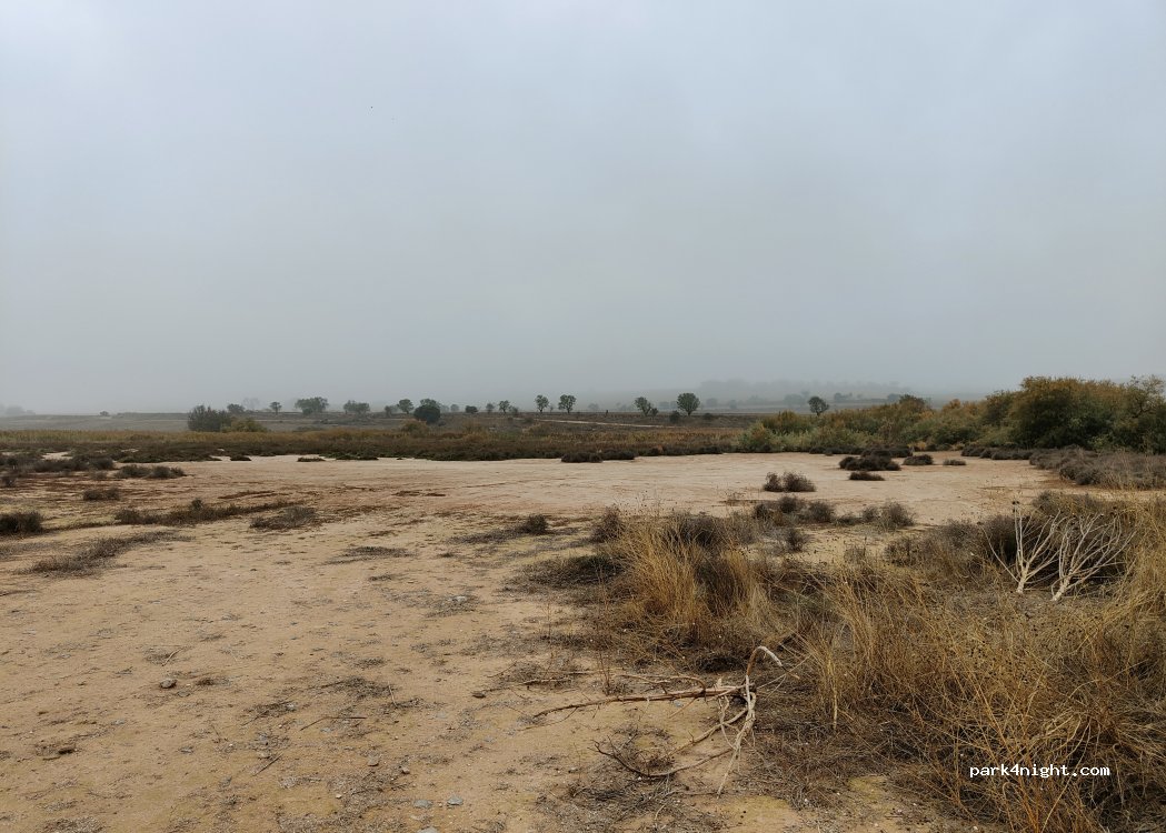 (25300) Tàrrega - Camí d'Altet a Conill — foto
