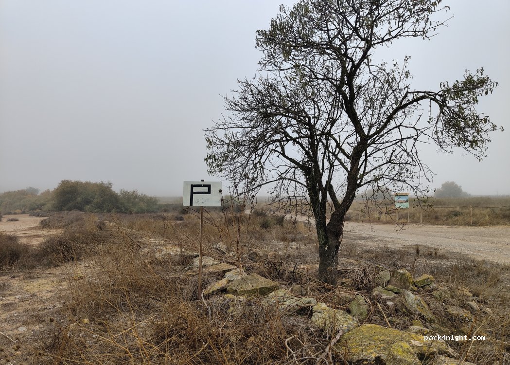 (25300) Tàrrega - Camí d'Altet a Conill — foto 3