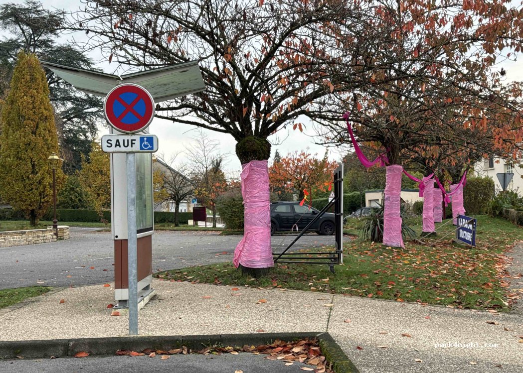 (08200) Givonne - Rue de la Vieille Ville — foto