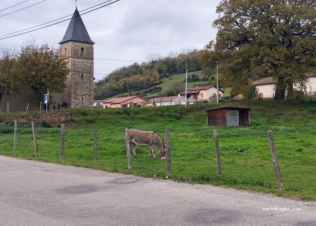 (38440) Savas-Mépin - Route de Sous Savas — foto 3