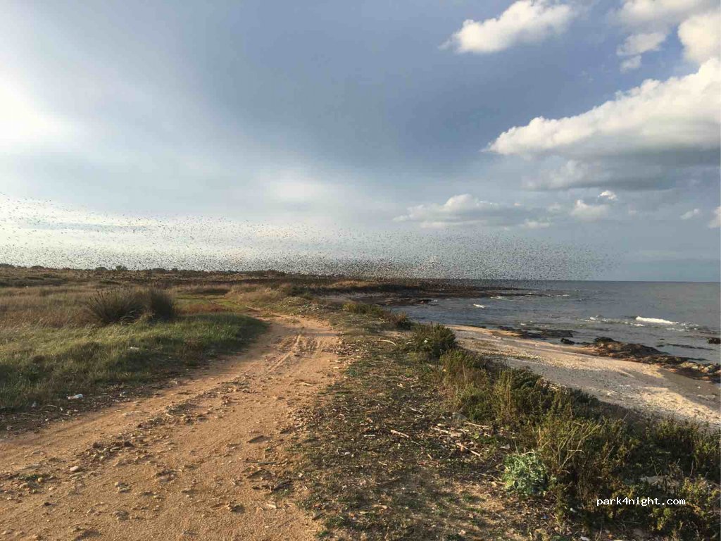 (72012) Carovigno - Unnamed Road — foto 2