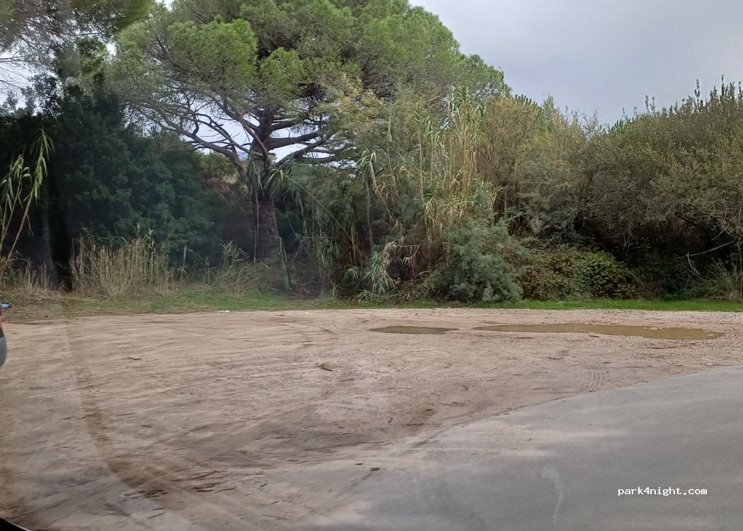 (20260) Calvi - Route de la Pinède — foto
