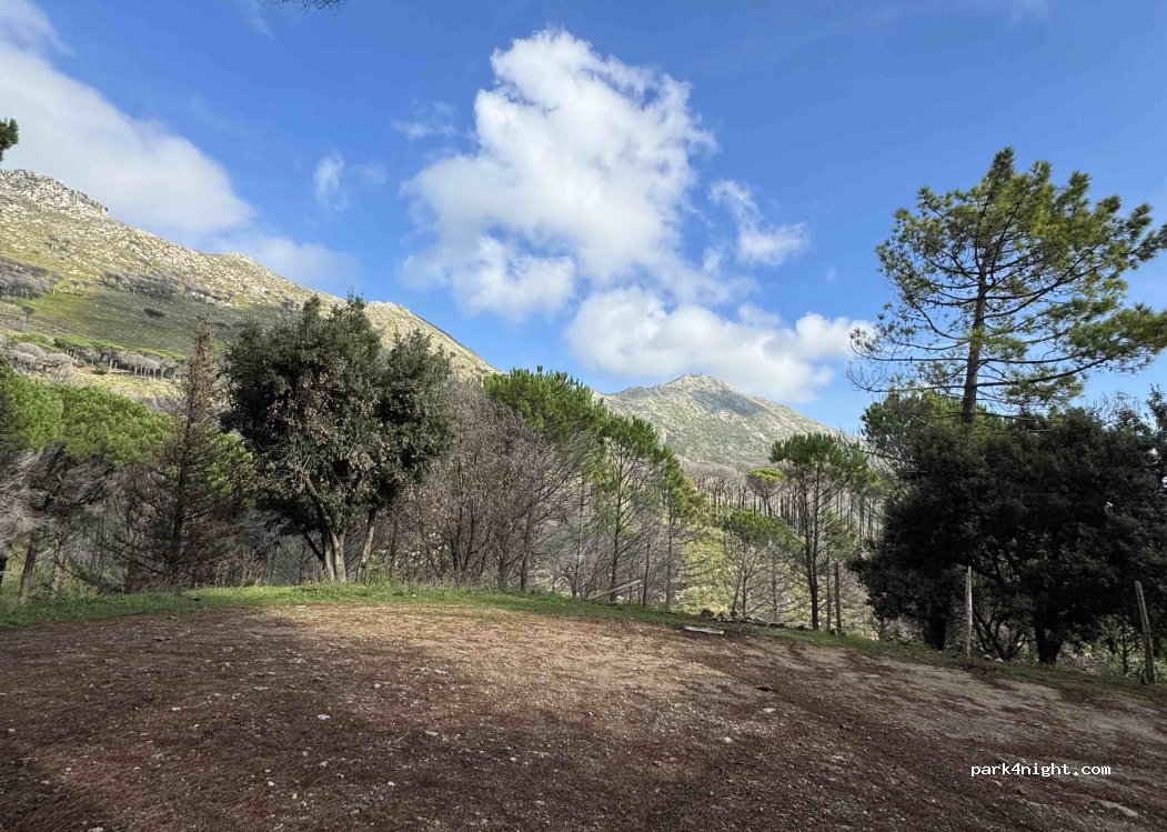 (90046) Monreale - Via Pineta Antica — foto