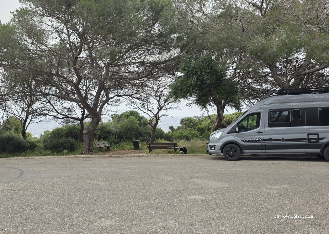 (07680) Manacor - 19 Carrer de la Punta Rasa — foto 4