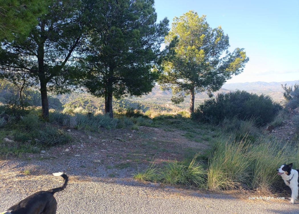 (46149) Estivella - Camino del Garbí — foto