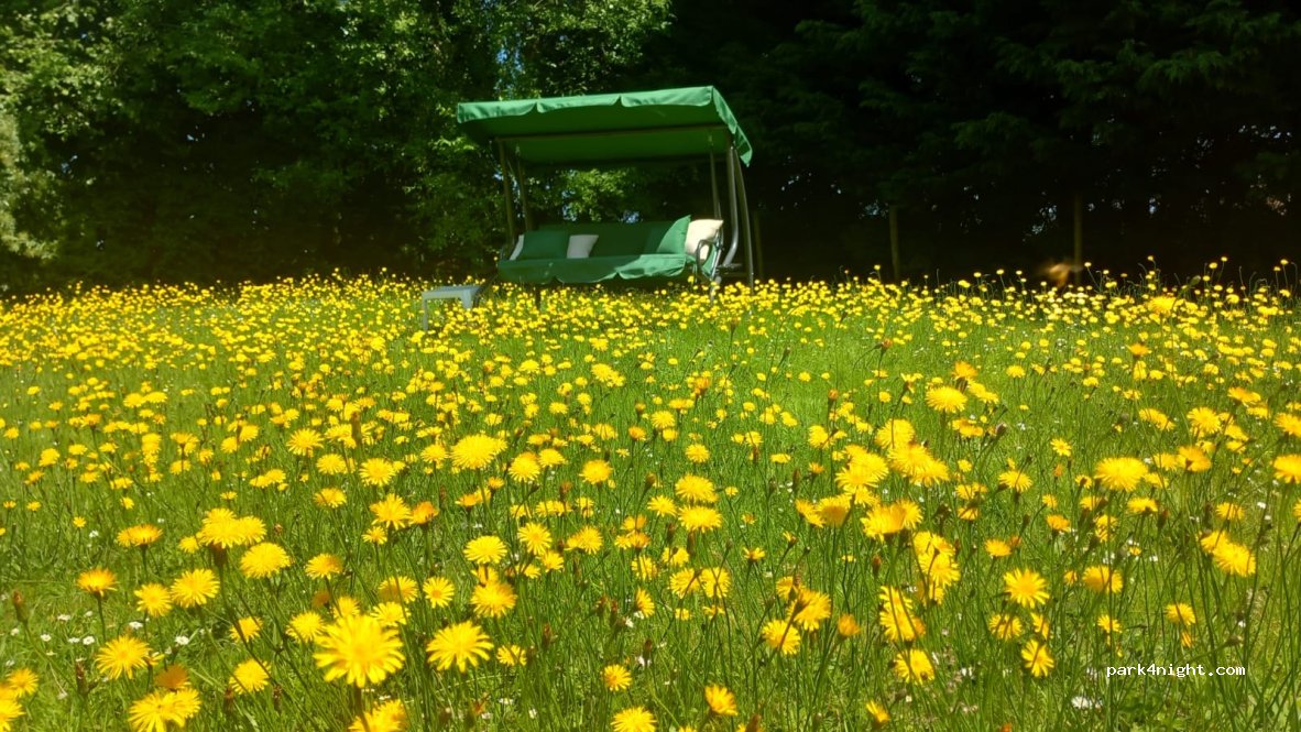 Le Grand Jardin — foto 5