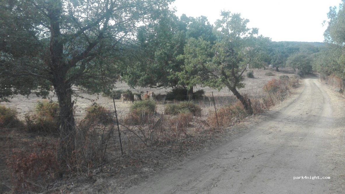 (08026) Orani - Unnamed Road — foto