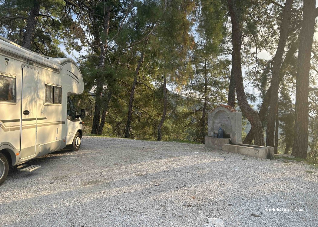 () Çiçekli - 48-28 — foto