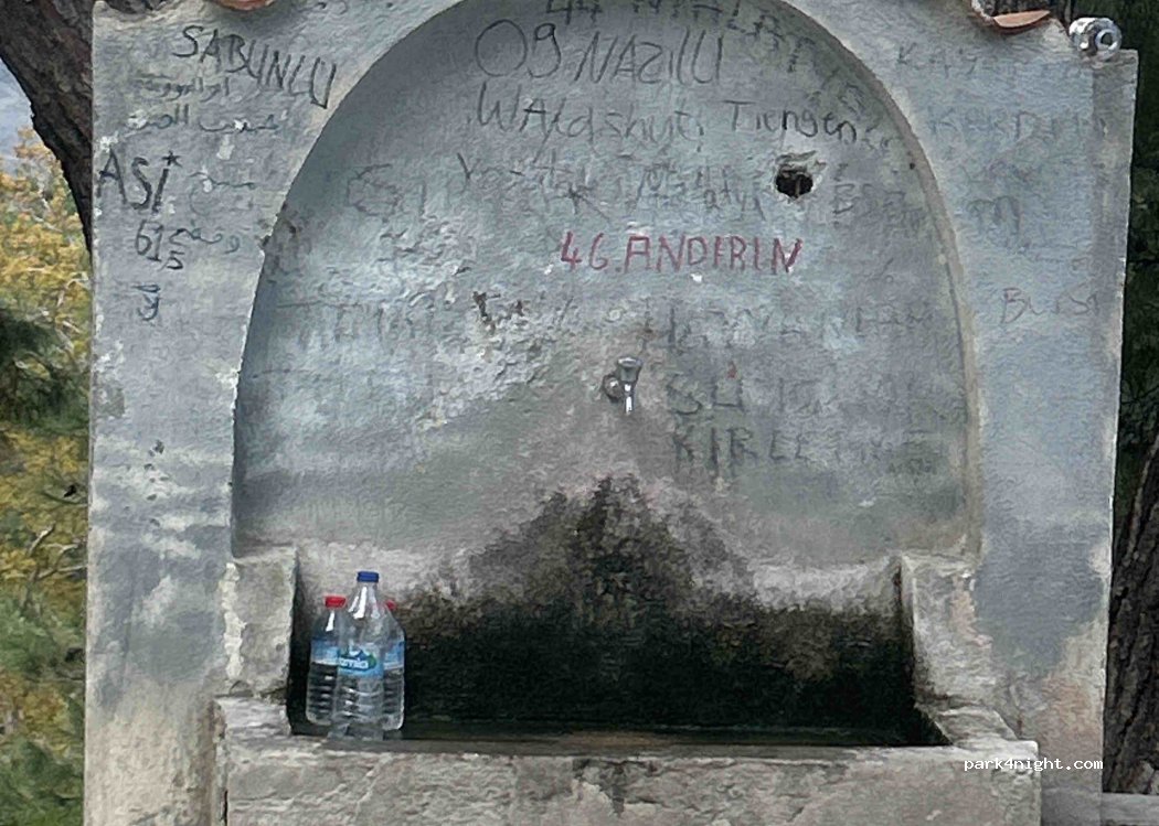 () Çiçekli - 48-28 — foto 2