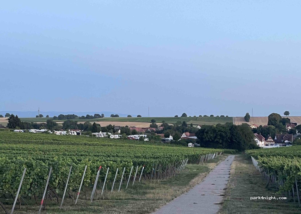 Familienweingut Geiger — foto 5