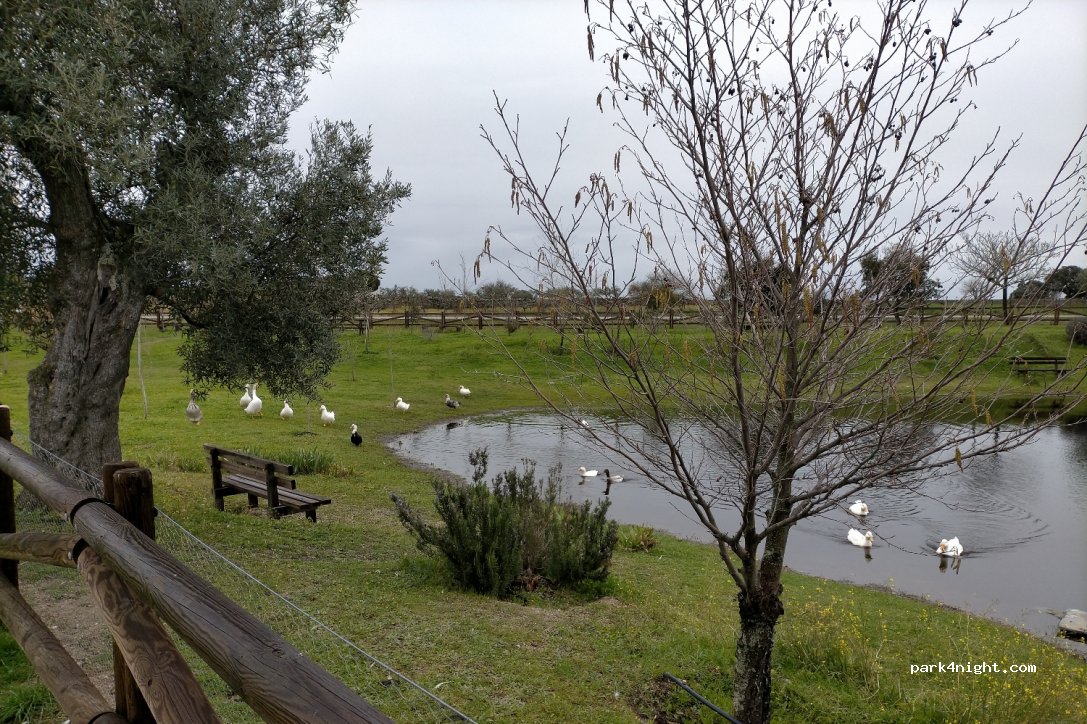 (10881) Cachorrilla - CC-70 — foto 2