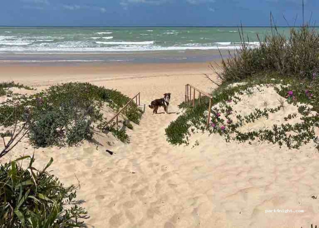 Camping Playa Aguadulce — foto 3
