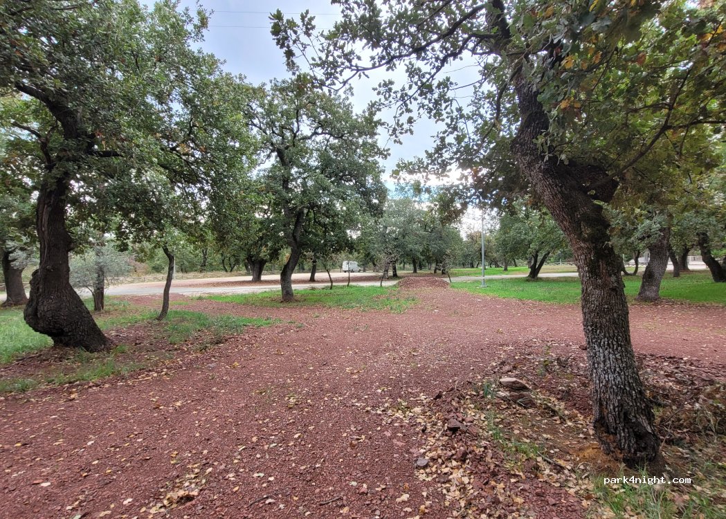 () Almyros Municipality - Jogging path 1 (3,5 km) — foto 5