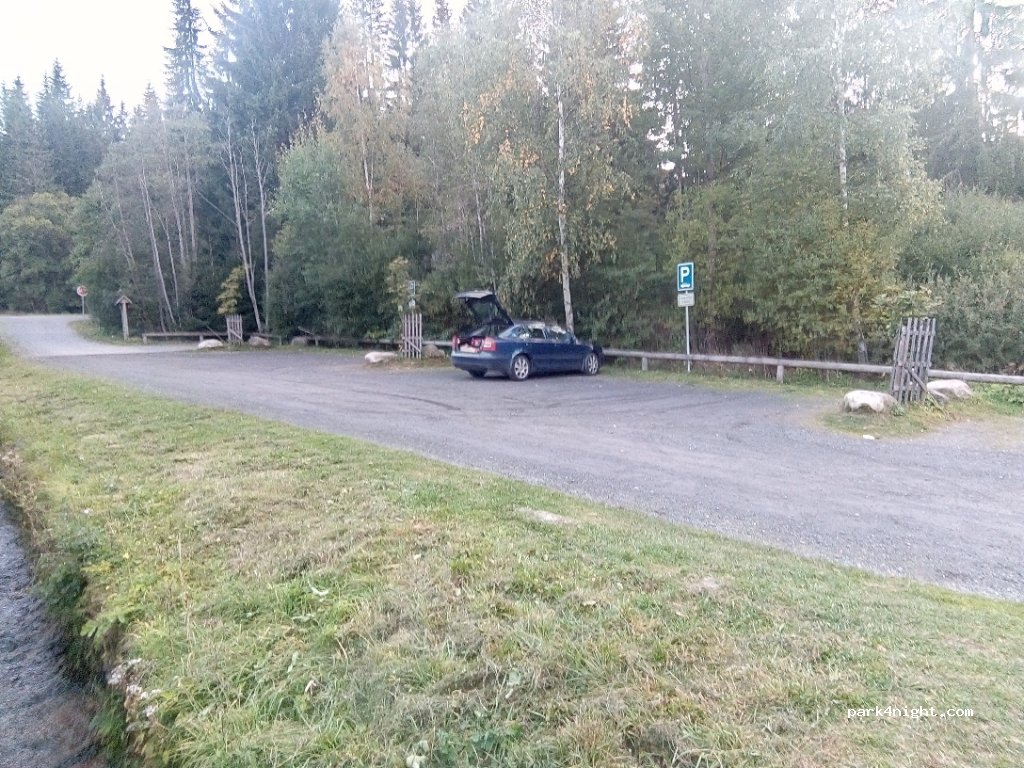 (341 92) Srní - 16911 — foto