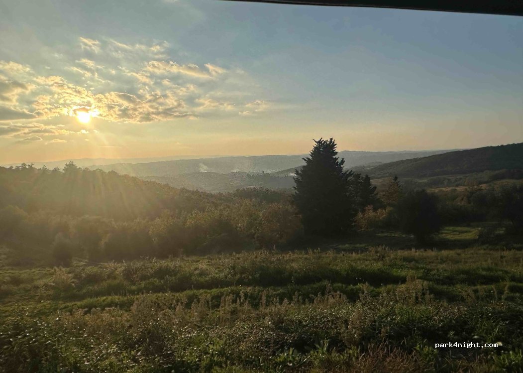 (50022) Greve in Chianti - Strada Provinciale 118 Panzano - Testalepre — foto