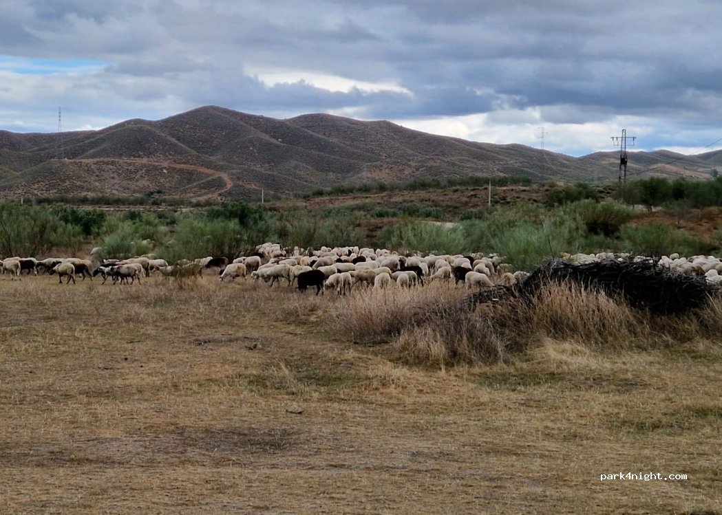 (04200) Tabernas - Camino de las Tinadas — foto 5