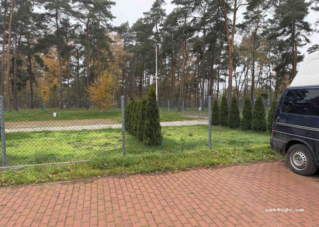 (62-561) Ślesin - Napoleona — foto