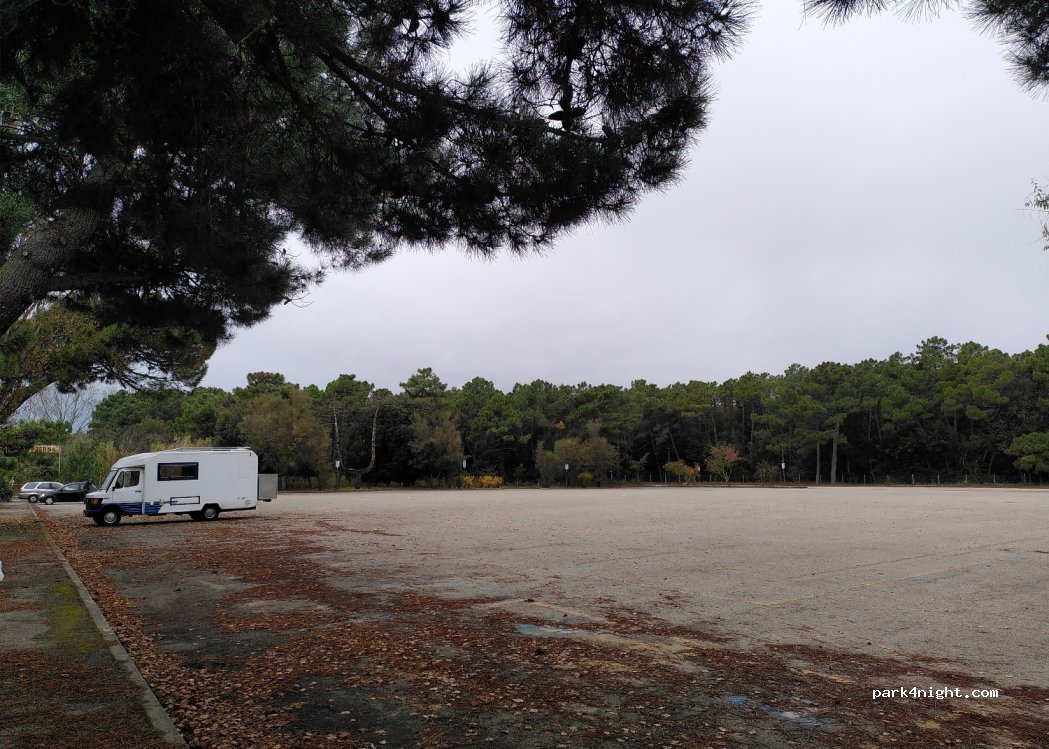 (44022) Lido di Volano - Via Lungomare del Parco — foto 2
