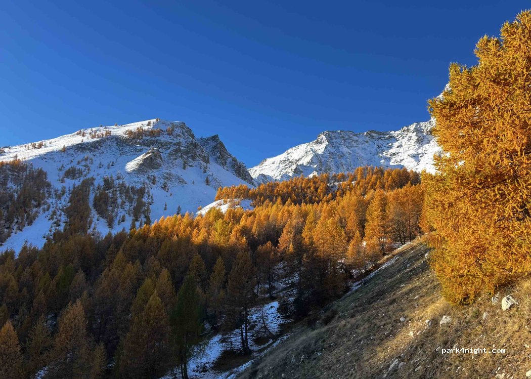 (06470) Saint-Martin-d'Entraunes - Route du Col des Champs — foto 3